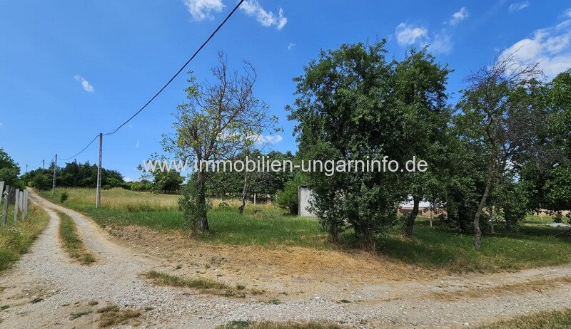 In Marcali Weinberg (12 km vom Plattensee) geschlossene Garten zu verkaufen In Marcali Weinberg (12 km vom Plattensee) geschlossene Garten zu verkaufen