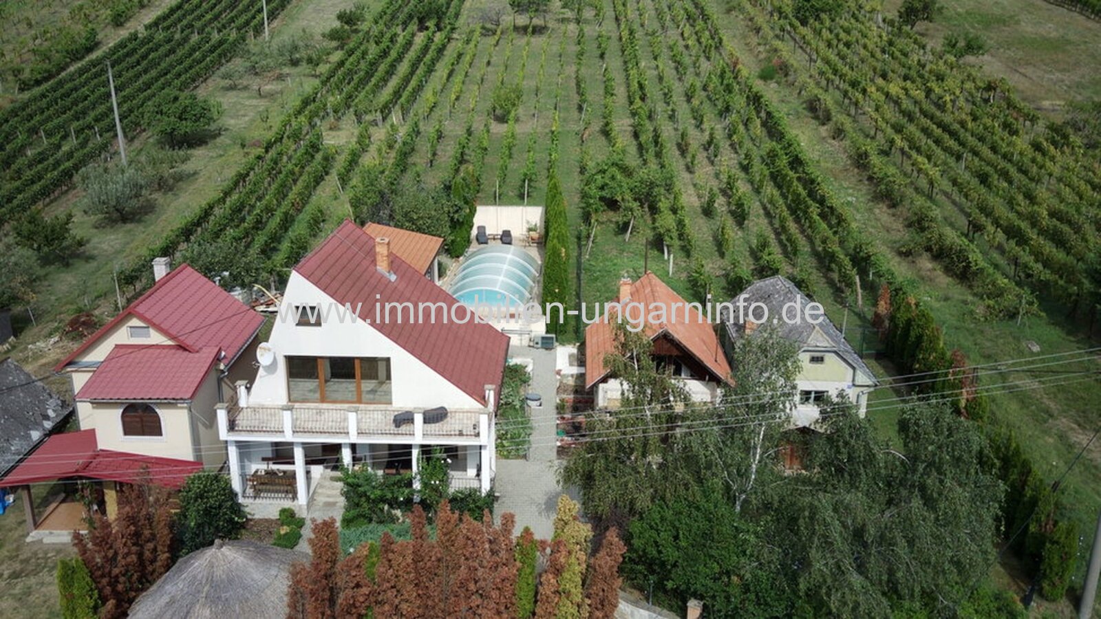 Haus mit Nebenhäusern, Pool und Weinberg in Vinica / Slowakei Haus mit Nebenhäusern, Pool und Weinberg in Vinica / Slowakei